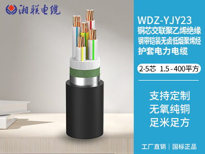 電纜2x25什么意思